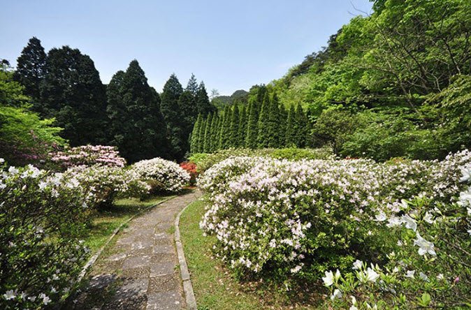 Lushan Botanical Garden, Mount Lu, Jiujiang, Jiangxi, China